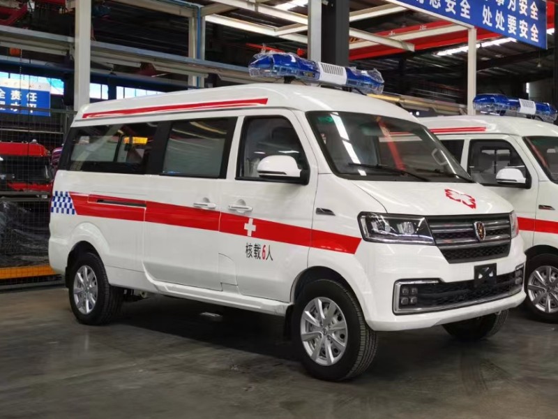 金杯小海獅救護車